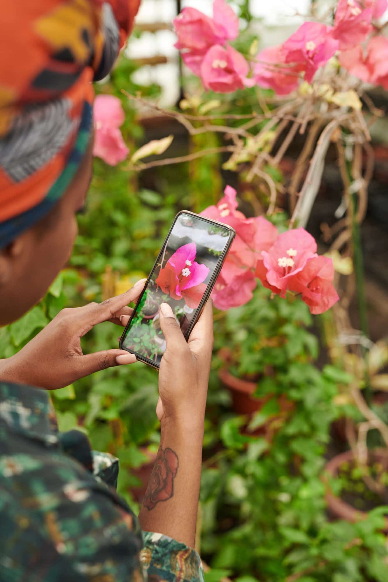 The Ultimate Guide to Reaching More Buyers with Free Video Ads